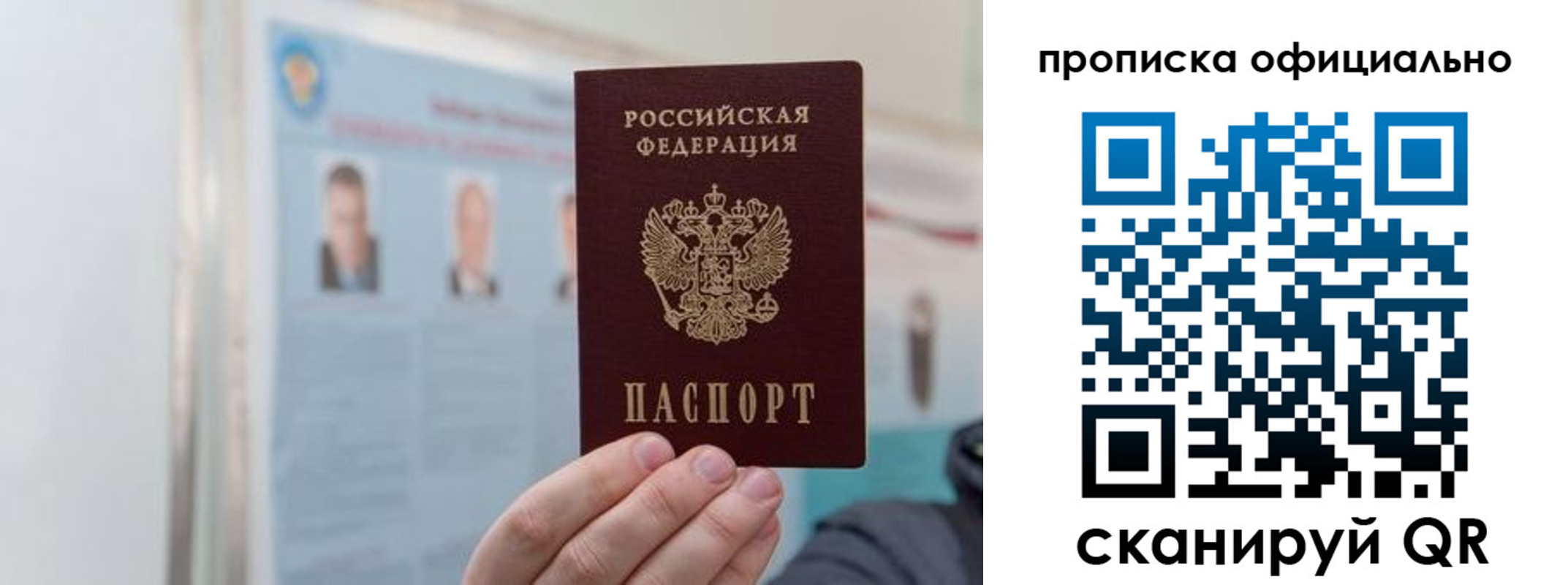 прописка гарантия в Балтийске